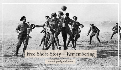 In this free short story, my fictional war photographer Faraday James reminisces on the War to End All Wars, and whether it was truly worth it.