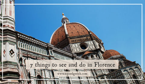 Florence is a beautiful city in Tuscany. But there are so many things to see and do! Here are 7 things to do that will make your stay worthwhile.