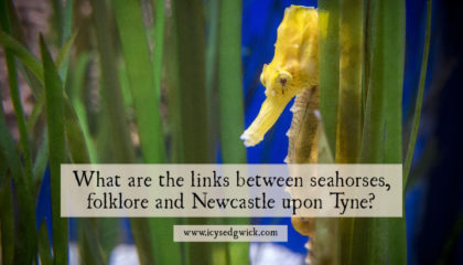 Newcastle upon Tyne has had seahorses on its crest since the 1500s, but are there any seahorses in folklore? What do they represent?