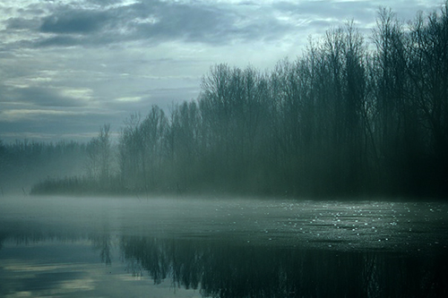 An image of a spooky looking river.