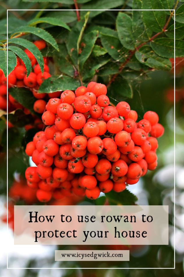Rowan is a popular tree for protecting against witchcraft and fairies. But how did people use rowan to get the most from its protective abilities?