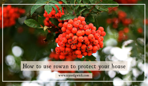 Rowan is a popular tree for protecting against witchcraft and fairies. But how did people use rowan to get the most from its protective abilities?