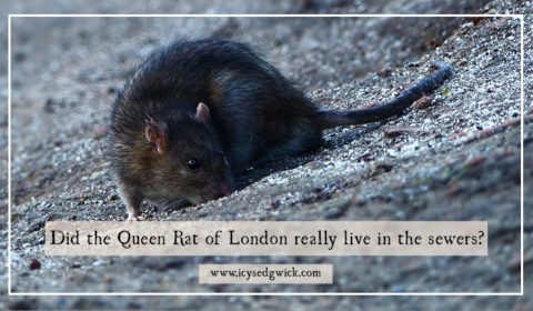 Sewers are never a fun place to be. But it's worse if you're worried you might fall prey to the Queen Rat of London. Find out who - and what - she is.