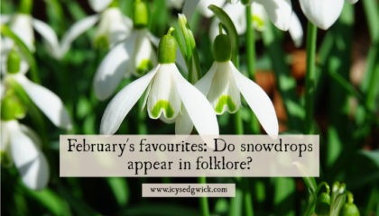 Snowdrops are the first flowers to bloom in spring. Click here to learn more about the folklore and legends around these beautiful alpine blossoms!