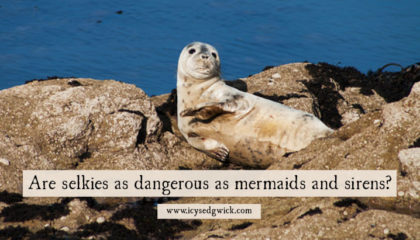 Selkies appear in the folklore of Ireland, Scotland, the Faroe Islands, and Iceland. But are they as dangerous as mermaids or sirens? Click here to find out more.
