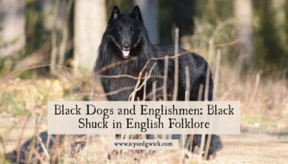 Spectral black dogs, sometimes called Black Shuck, haunt the English countryside. But the stories vary as you travel around. How? Click here to learn more.