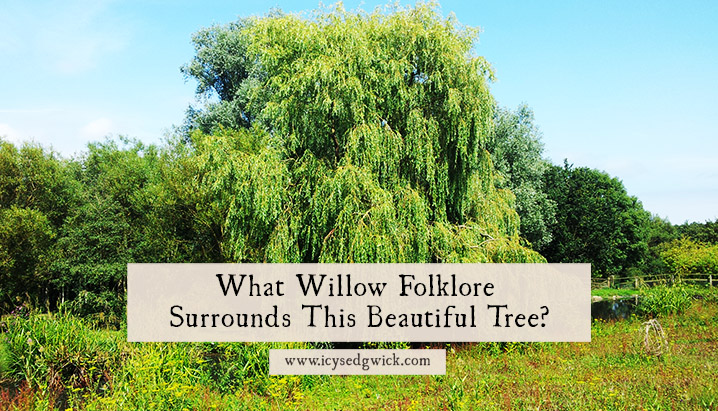 What Willow Folklore Surrounds This Beautiful Weeping Tree?