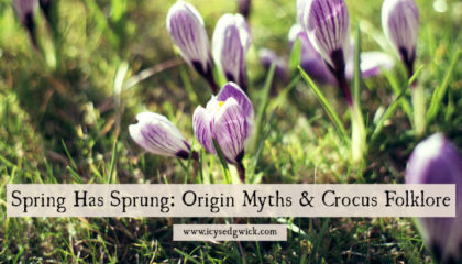 The humble crocus pops up every spring. But where does mythology say it came from? Find out more about its origins and folklore here.