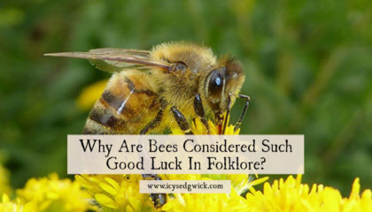 Bees hold an important place in folklore, representing a range of positive associations. But why are they considered symbols of good luck? Find out here.