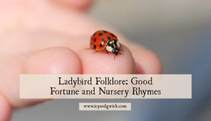 Symbol of good luck and modern-day pest control, the ladybird appears throughout the folklore of many cultures. Click here to learn more of its legends.