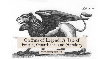 Griffins are popular symbols in art and heraldry. What legends are associated with these mythical beasts? How are they linked to fossils?