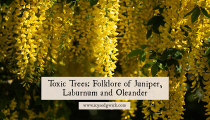 Many blogs focus on poisonous plant folklore but they forget about toxic trees. Learn more about the lore of juniper, laburnum, and oleander.