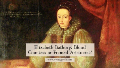 Elizabeth Bathory is known as the Blood Countess. But did this 16th century aristocrat really bathe in blood to stay youthful? Find out!