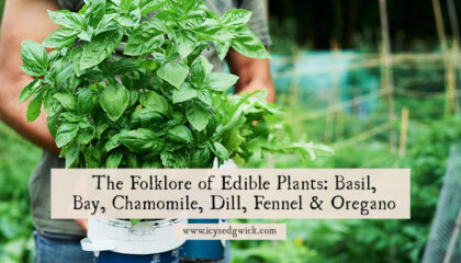 Edible plants can flavour your food but they have a range of protective and magical uses too, from love to healing. Learn more here!