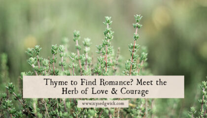 Thyme appears in folklore to bring courage and love, guard against evil, and give fairies somewhere to live. What else can you use thyme for?
