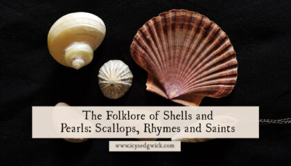 The folklore of shells blends superstition and belief with a tongue twister nursery rhyme. Learn more about shells and pearls here.