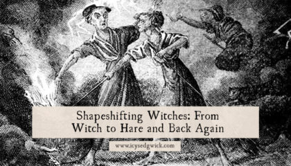 Shapeshifting witches appear in various British tales, in which witches appear as cats, hares or even hedgehogs. Click here to learn more!