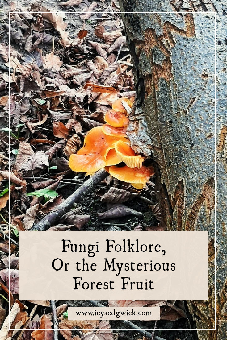 Fungi folklore is surprisingly thin on the ground compared to plants and trees. But some legends persist, so click here to learn more.