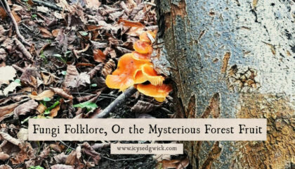Fungi folklore is surprisingly thin on the ground compared to plants and trees. But some legends persist, so click here to learn more.