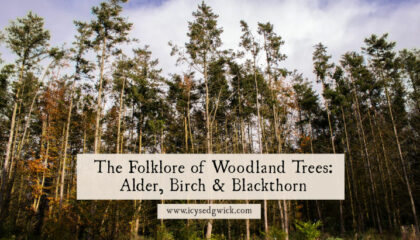 Learn about the folklore and legends of three common woodland trees native to the British Isles: alder, silver birch, and blackthorn!