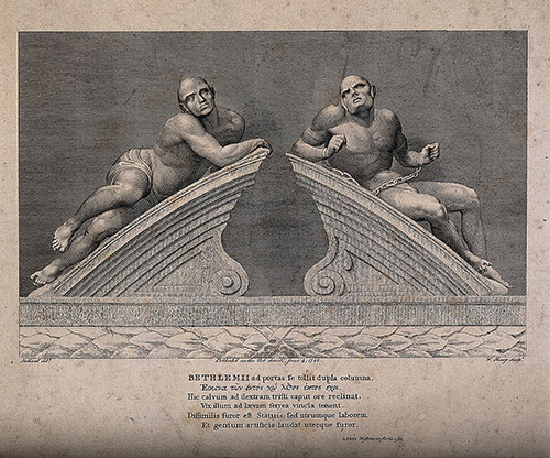 Statues of "raving" and "melancholy" madness, each reclining.